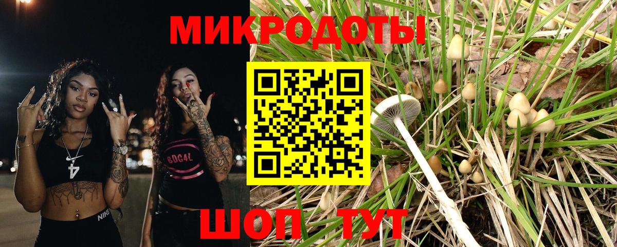 Великий Устюг  Галлюциногенные грибы Psilocybe  Вход с VPN  Псилоцибиновые грибы GOLDEN TEACHER 