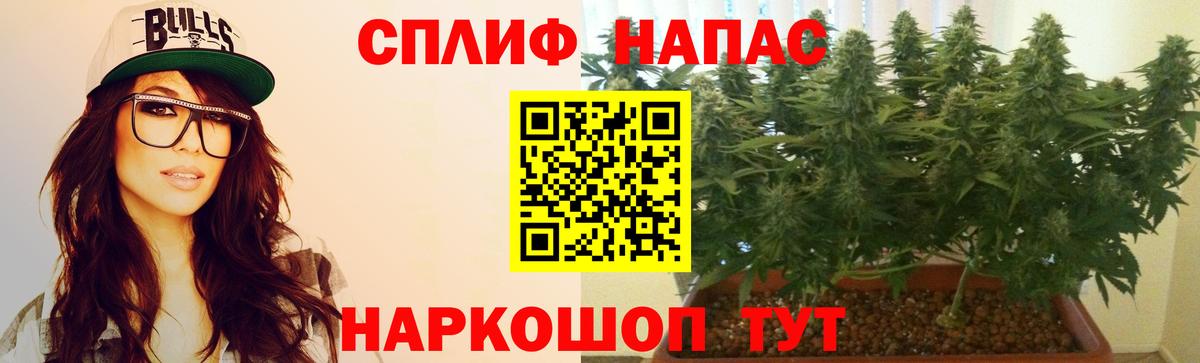 Шишки марихуана сатива  Бошки марихуана Bruce Banner  Вход с VPN  Бошки марихуана MAZAR  Великий Устюг 